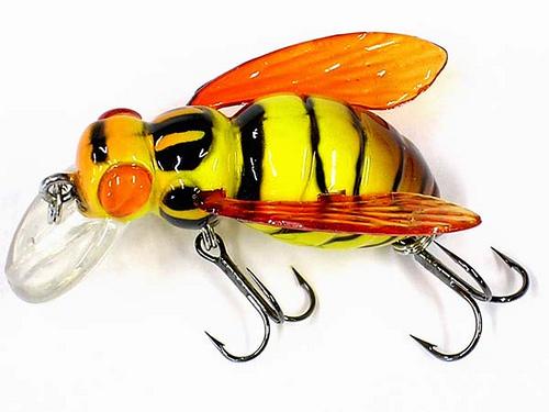 Progressive didactic projection