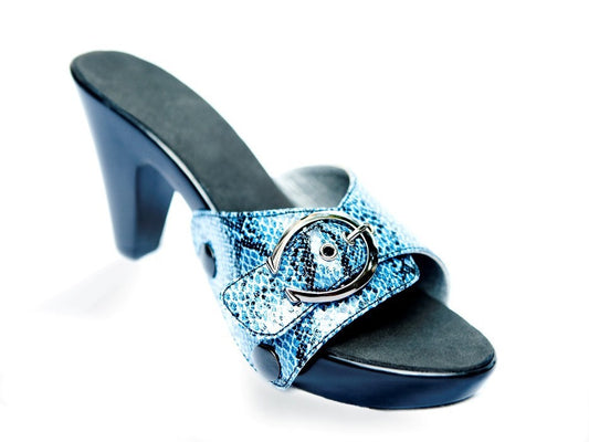 Blue Python Cosmo