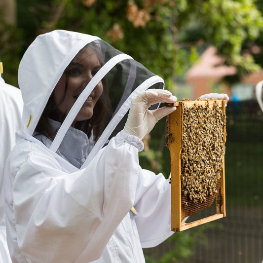 BEEKEEPING