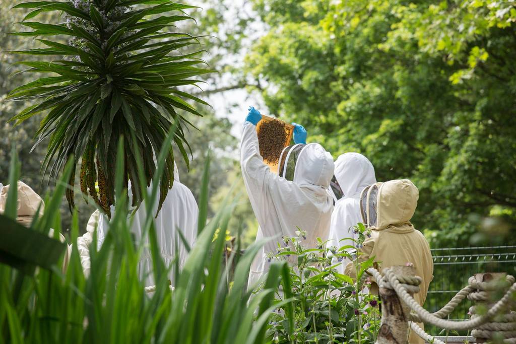 BEEKEEPING
